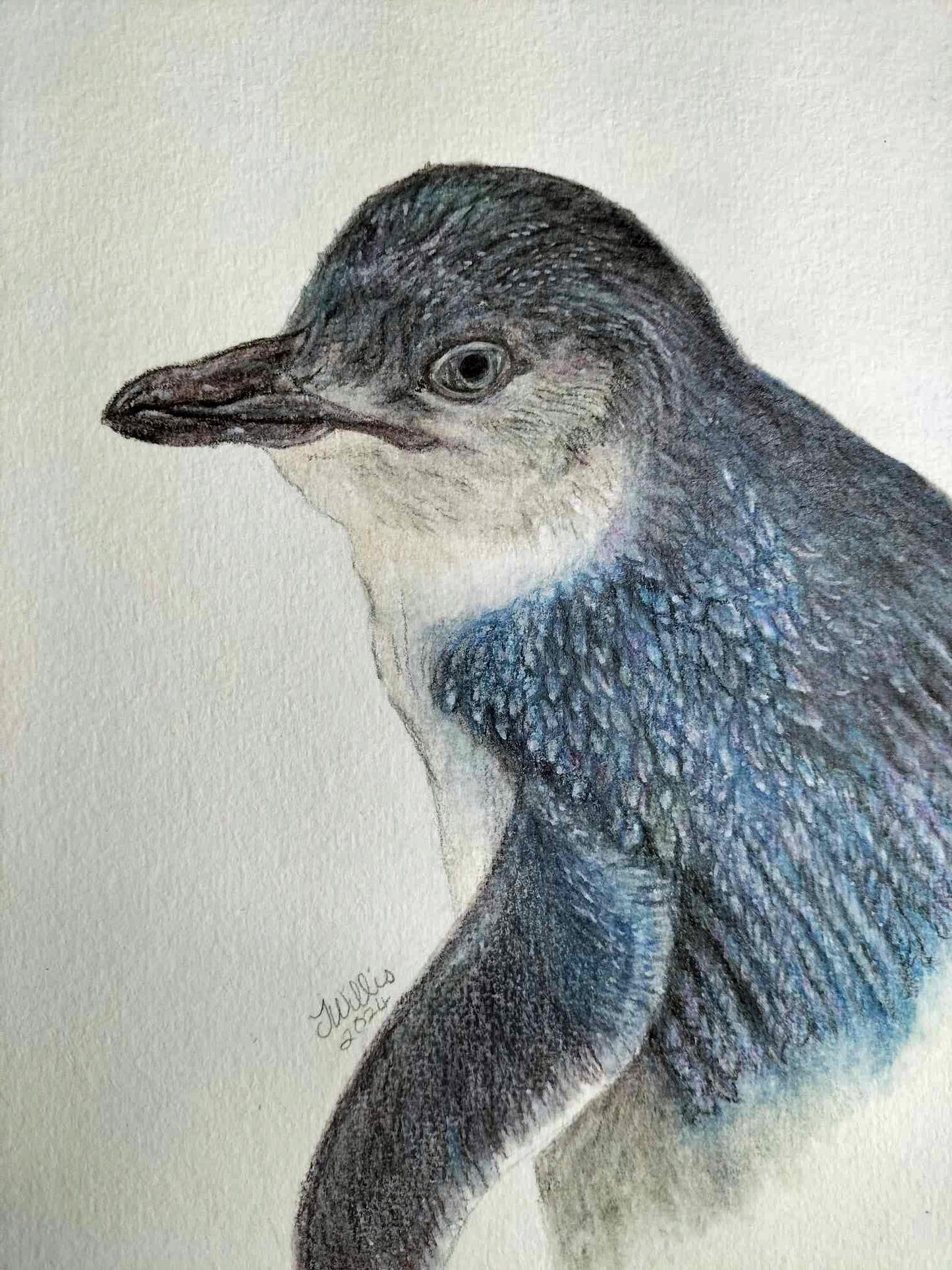 Original one-off mini -Little Blue Penguin/Kororaa - A5