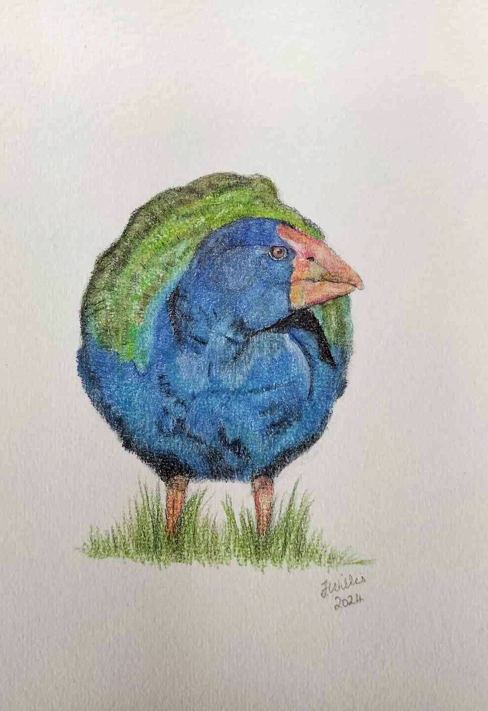 Original one-off mini - Takahe - A5 (Copy)
