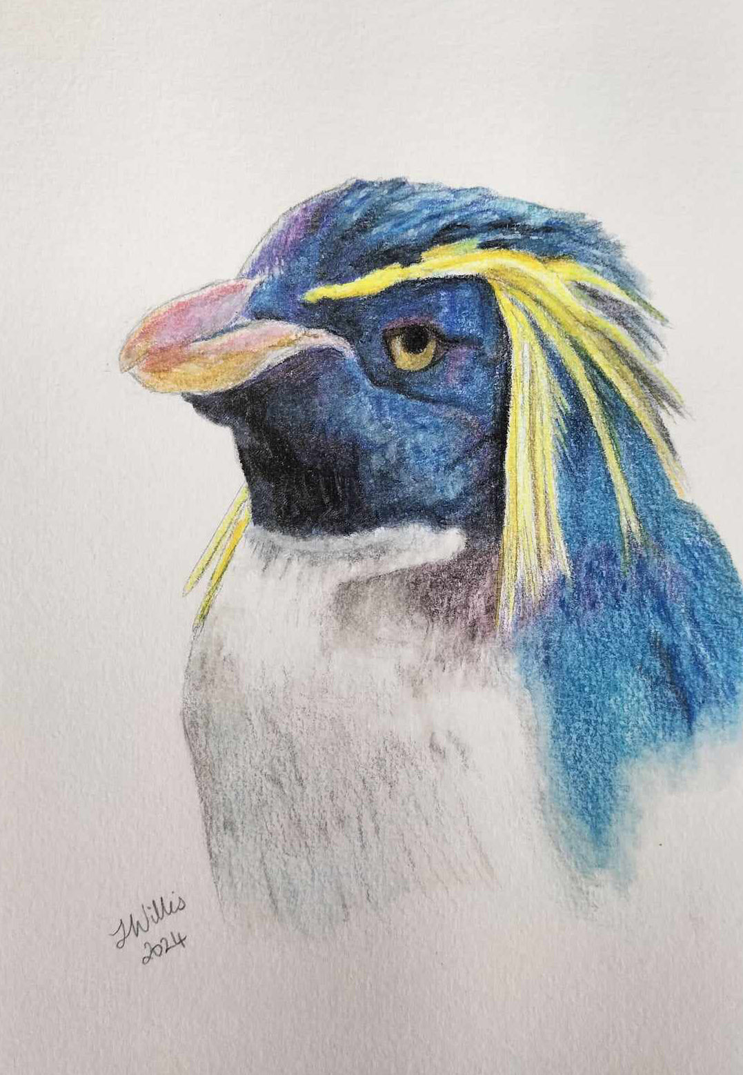 Original one-off mini -Rockhopper Penguin- (A5)