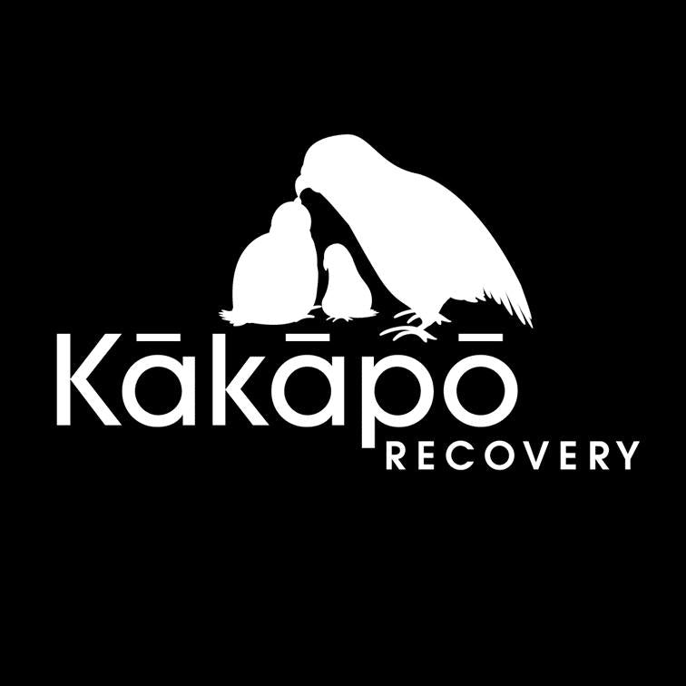 NZ Native Bird - Kakapo