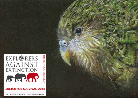 NZ Native Bird - Kakapo