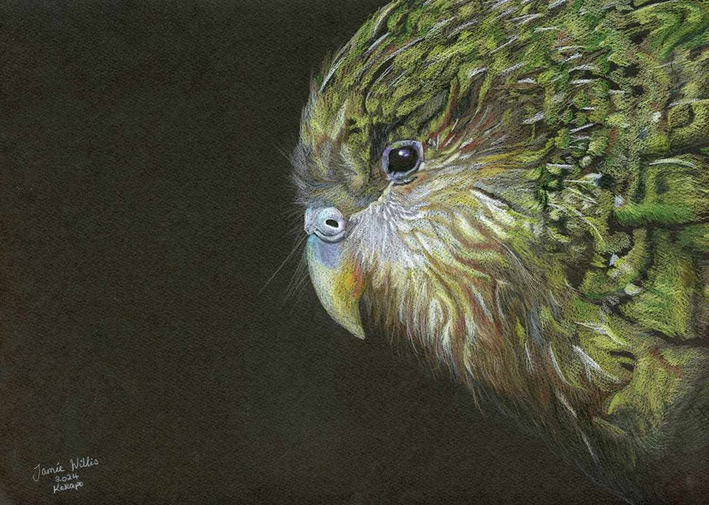 Greetings Cards NZ Native birds - individual