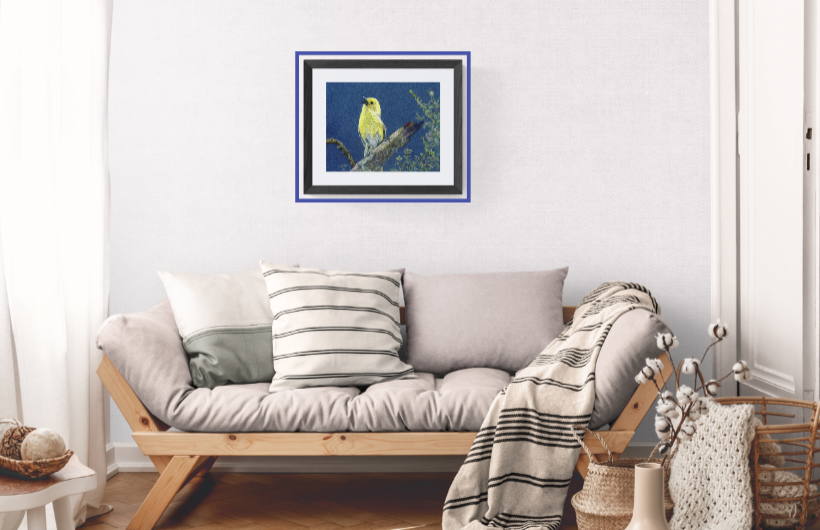 NZ Native Bird - Yellowhead/Mohua