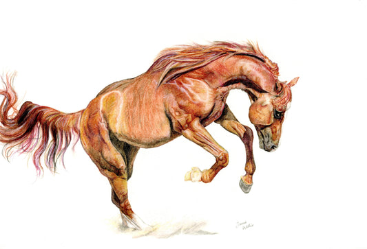 Spirit - Print