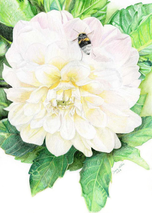 Dahlia - Sweet Nathalie + Bee Print