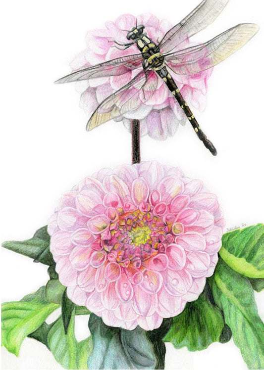 Dahlia - Wizard of Oz + Dragonfly Print