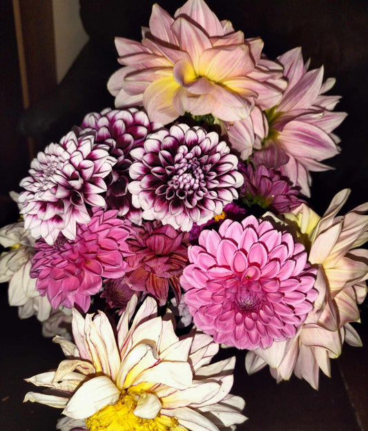 PYO Flower Farm visit